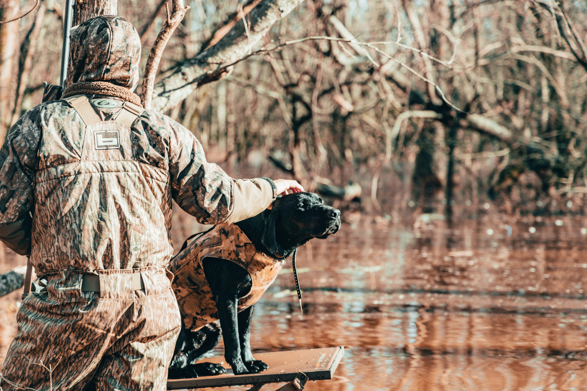 Hunter with dog in wetlands